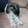 Tracy P. - @tracy.pagan5 - TikTok