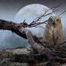 Tracy Pagan - Facebook