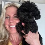 Tracy Painter - @tracypaint - Instagram