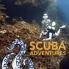 Tracy Painter - @tracy.painter - TikTok