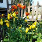 Tracy Papke - @tpapke321 - Instagram