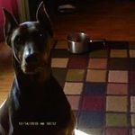 Tracy Pardue - @tracypardue - Instagram