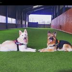 Tracy Parnell - @tparn67 - Instagram