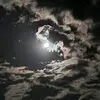 tracypatrick296 - @tracypatrick296 - TikTok