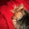 kingtheman094 - @tracypatton93 - TikTok