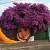Peacetracy - @peacetracy - TikTok
