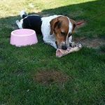 Tracy Peace Shavor - @tracyshavor - Instagram