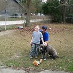 Tracy L Pease - @tracy.pease - Instagram