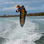 Tracy Pedigo - @tracypedigo - Instagram