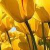 Tracy Clark-Peele - @dygs5bgddp32 - TikTok
