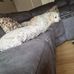 Tracy Louise Peet - Facebook