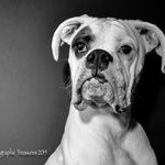 Tracy Peltier - @fototreasures - Instagram