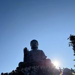 Tracy Pennington Herrmann - @herrmanntl - Instagram