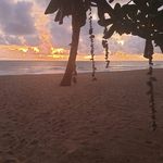 Tracy Perkins - @tracy.perkins.549 - Instagram