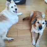Tracy perkins - @tracyperkins690 - Instagram