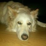 Tracy Perkins - @tracy.perkins.77 - Instagram