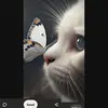 Tracy Perkins - @envyivybme - TikTok