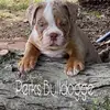 tracyperkins762 - @tracyperkins762 - TikTok