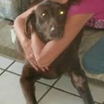 Tracy Bassi Peterman - @tracy2209jm - Instagram