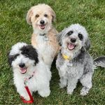 Tracy Nolan Phegley - @tphegley1 - Instagram