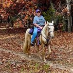 Tracy Phegley - @tracy.phegley.3 - Instagram