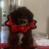 Tracy - @tracy.phegley - TikTok