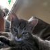 Tracie Philburn - Facebook