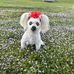 Tracy Hanson Piatt - Facebook