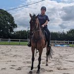 Tracy Pierre - @pierresequine - Instagram