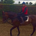 Tracy Piggott - @tracypiggott - Instagram