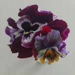 Tracy Pike - @tracywpike - Instagram