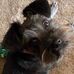 Tracy Pike - Facebook