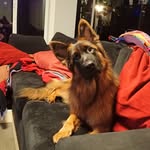 Tracy Pike - @kais_no1_mom - Instagram