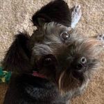 Tracy Pike - @tracypike1 - Instagram
