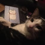 Tracy Plant - @witchy.plant - Instagram