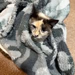 Tracy Platt - @tplatt5000 - Instagram