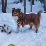 Tracy Plummer - @tracyskyraider - Instagram