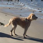 Tracy Polk - @wps_guerrieri_library - Instagram