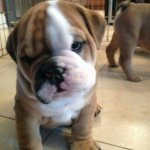 Tracy Pollock - @tracypollock_ - Instagram