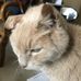 Tracy Pollock - Facebook