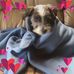 Tracy Pollock - Facebook