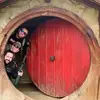 Tracy Tzanopoulos - @tracytzanopoulos - TikTok