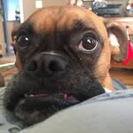 Tracy Di Pilato-Prater - @tracy_prater - Instagram