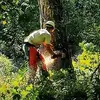 Tracy Prater - @praterfarmandforest - TikTok