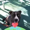 tracyprater878 - @tracyprater878 - TikTok