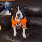 Tracy Kern Preece - @momma_preece - Instagram
