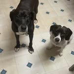 Tracy Joy Catanzaro-Pritt - @tcatanzaropritt - Instagram