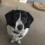 Tracy Joy Catanzaro-Pritt - @tcatanzaro9588 - Instagram