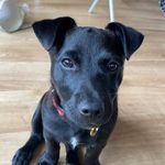 Tracey Victoria Privett - @tv_privett - Instagram