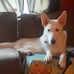 Tracy Provencher - Facebook